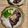 ちゃかぴまま's cooksnap of when they made わさびポン酢 の 刺身ネギ和え.