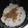 ミロ9607's cooksnap of when they made フキのごはん.