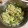 aki42's cooksnap of when they made 大根としらすの中華風サラダ.