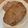 Rieko_ｓ♪♪'s cooksnap of when they made ライ麦と全粒粉のふわふわ低GI食パン.