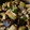 クックGBVW31☆'s cooksnap of when they made ☼鶏ももと椎茸のオイスターソース炒め.