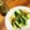 あんまかろん☆'s cooksnap of when they made 簡単ハマる常備菜的調味料☆大葉味噌.