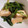 ＊Chay＊'s cooksnap of when they made フライパンで厚揚げとほうれん草の炒め煮♪.