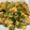 toshio39's cooksnap of when they made ピーマンと卵の中華炒め.
