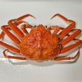 くんくんリリー's cooksnap of when they made 香箱がにのゆで方.