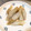 0516suzuno's cooksnap of when they made ごぼうの糠漬け.