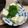 Yutaraptor's cooksnap of when they made 手で食べるヘルシーネギだれお豆腐おつまみ.
