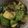 ぐみよー's cooksnap of when they made やめられへんｗアボカドの薬味ぽん酢漬け♪.