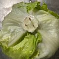 のんべぇヒロ's cooksnap of when they made レタスの保存法　つま楊枝編.
