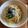 みるく茶's cooksnap of when they made 釜揚げシラスと春キャベツ✿和風パスタ.