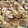 ひんべえ's cooksnap of when they made 豚のしょうが焼き.