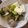 しゅうう's cooksnap of when they made ほっとするお味。あさり豆腐.