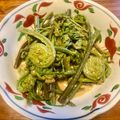 さすらい's cooksnap of when they made ❀こごみの胡麻マヨおひたし❀.