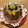 hiroひろりーな's cooksnap of when they made デコレーションケーキ（バースデーケーキ）.