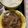 ゃゃッキりん梵's cooksnap of when they made お家で牛丼.