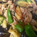 せみる's cooksnap of when they made 茄子とピーマンと豚肉の辛味噌炒め★黄金比.