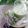 クックHG9V8Y☆'s cooksnap of when they made ほろ苦抹茶ラテ（冷）♪.