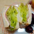 うたかた。's cooksnap of when they made レタスたっぷりサンドイッチ.
