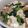 fu♪♪'s cooksnap of when they made 豆腐と小松菜、海老のうま煮♡.