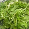 なーなちゃん's cooksnap of when they made ごま油香る＊水菜♪.