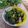 クックHG9V8Y☆'s cooksnap of when they made たまらん！わけぎのぬた(*´╰╯`๓)♬.