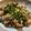 22okaki's cooksnap of when they made 豚こま・レンコン・甘味噌のごままぶし☆.