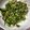 ♬のんのこ日和♬'s cooksnap of when they made 大根葉とジャコのふりかけ.