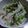 ゆりのもり's cooksnap of when they made 菜の花とじゃがいものデリ風サラダ。.