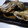ちくわ君's cooksnap of when they made ウマヅラハギを煮付けてみよう。.