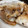 ふぁんころ's cooksnap of when they made 簡単　鯛のアラ塩焼き　お頭つき　.
