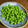 ☆にん☆'s cooksnap of when they made えんどう豆冷凍～下ゆでして冷凍する方法～.