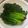たあなけきるし's cooksnap of when they made 母から伝授　ほうれん草の茹で方.