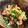 Ren紅蓮's cooksnap of when they made 味ぽん　豚バラと茄子の炒め物.