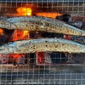 りこまこせいやのパパ's cooksnap of when they made 七輪で秋刀魚の塩焼き.