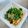 azbjbn's cooksnap of when they made ニラの納豆おかか和え.