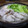 ちくわ君's cooksnap of when they made 簡単！おいしい一人鍋♡豚の水炊き♪牡蠣入.