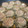 やよい・M's cooksnap of when they made 鰯と豆腐のつみれ揚げ(フープロ使用).