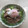 Ruriluru's cooksnap of when they made 余った角煮で角煮丼②.