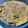 あみ's cooksnap of when they made まいたけのツナたまチーズ焼き.