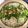 よっこはる's cooksnap of when they made 家庭で簡単に本場の味！博多風 醤油もつ鍋.