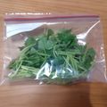 みぃくんのママ's cooksnap of when they made 【保存】三つ葉は冷凍ストックが便利.