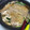 しきままーーーん's cooksnap of when they made 我が家のもつ鍋♪市販スープ無しで旨い！.