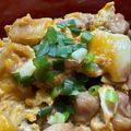 suminyaaan's cooksnap of when they made 子どもも大好き♡鶏もも肉の鍋照り丼.