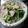 くっくぱー's cooksnap of when they made カブ・小松菜・ハムの塩炒め☆.