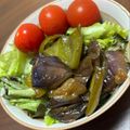 kan's cooksnap of when they made ピーマンとナスの甘酢炒め.