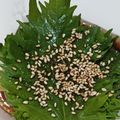 あおかmama's cooksnap of when they made ごはんが進む大葉の醤油漬け(⁎˃ᴗ˂⁎).