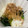 にゃつめ〜's cooksnap of when they made ✿ほうれん草と長いもの即席和えもの.