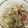 y_uu's cooksnap of when they made れんこんツナサラダ.