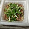 めぐ＊ぴぃ's cooksnap of when they made 毎日の納豆●豆苗塩サラダ添え.