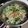 藍の色's cooksnap of when they made 焼きそば麺で醤油ラーメン.